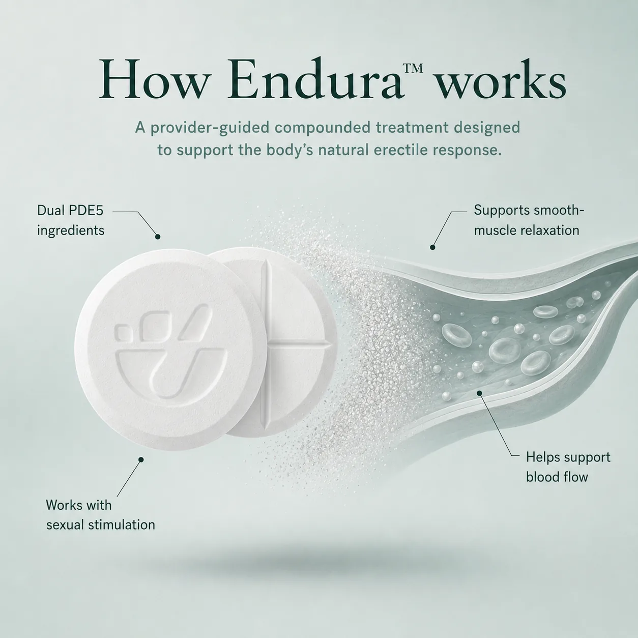 How Endura works infographic showing dual PDE5 ingredients, support for smooth muscle relaxation, support for blood flow, and activity with sexual stimulation