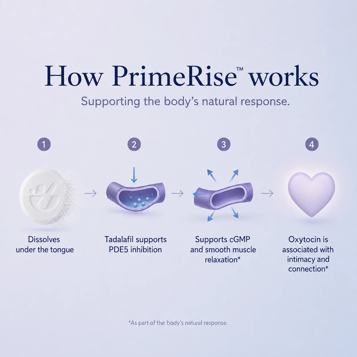 How PrimeRise works infographic: the ODT dissolves under the tongue, tadalafil supports PDE5 inhibition, cGMP activity and smooth muscle relaxation are supported, and oxytocin is associated with intimacy and connection